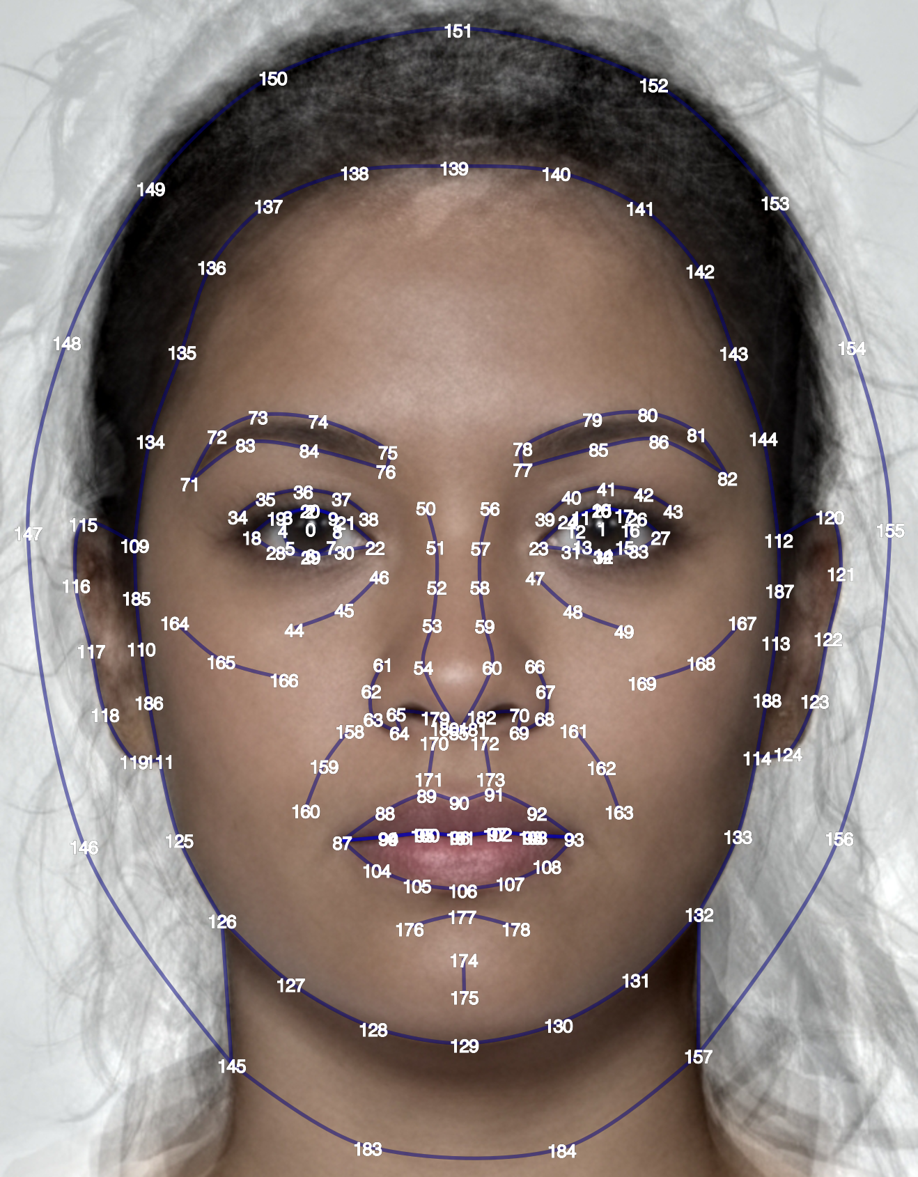 Average female face with the shape delineated using 189 white numeric labels and blue lines connecting the numbers.