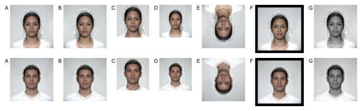 Seven versions of the same average female face with different manipulations applied.