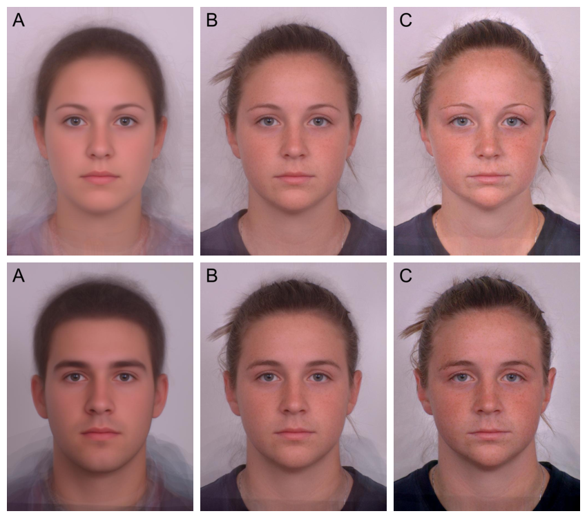 Six faces in three columns/two rows. The first column is average White faces, female on top and male on the bottom. The second column is the average of the faces in the first column and an individual White female face; the top image looks like a more average version of the individual face and the bottom image looks like an androgynous face. The third column is transforms of the individual female face; the top image looks more like a more feminine version of the individual face and the bottom image looks like a male version of the individual face.