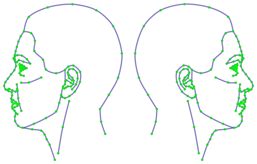 Left and right profile templates available via webmorph.org.