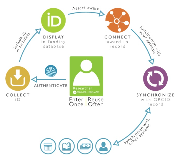Flowchart showing steps: Authenticate, Collect ID, Display in funding base, Connect to award, synchronize with ORCiD, and synchronize with other systems