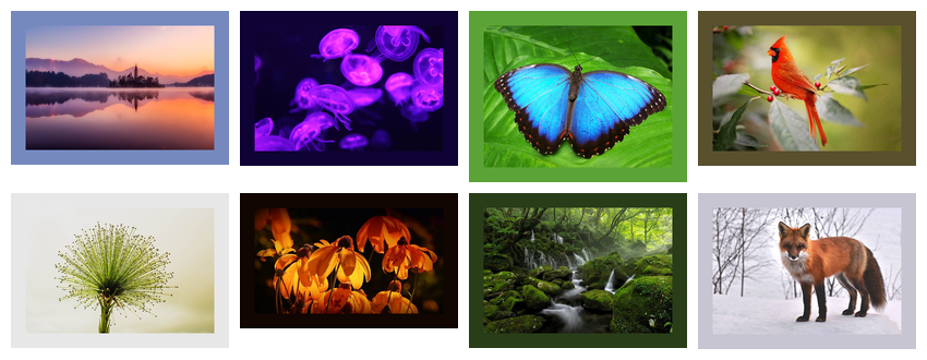 Cropped images with background matched to top left 10-pixel square